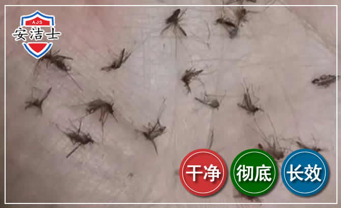 龙港蚊子防治-灭蚊