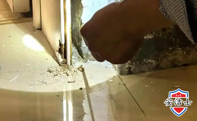 龙港房屋建筑防治白蚁