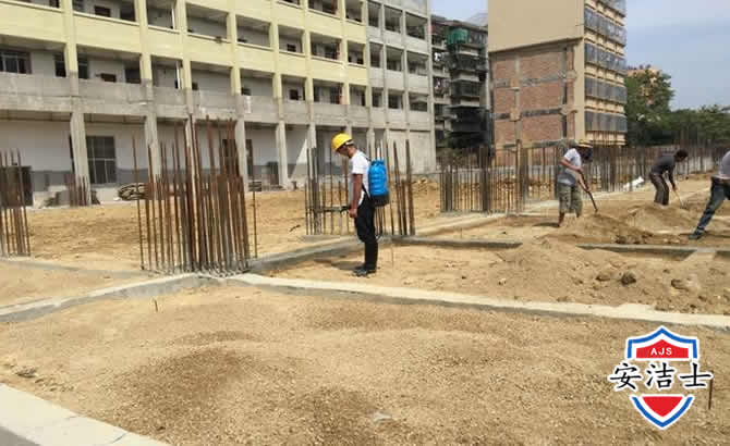 龙港学校机关防治白蚁