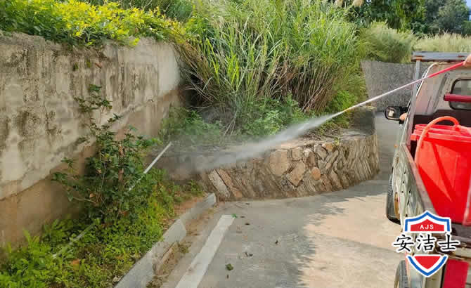 龙港道路堤坝白蚁防治