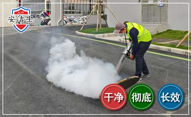 龙港消杀防疫现场