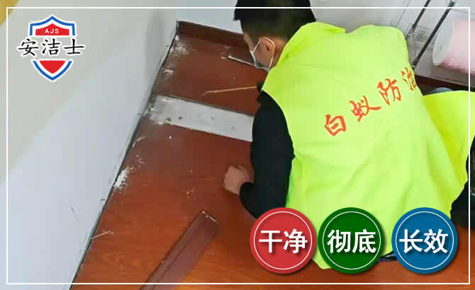 龙港除四害现场