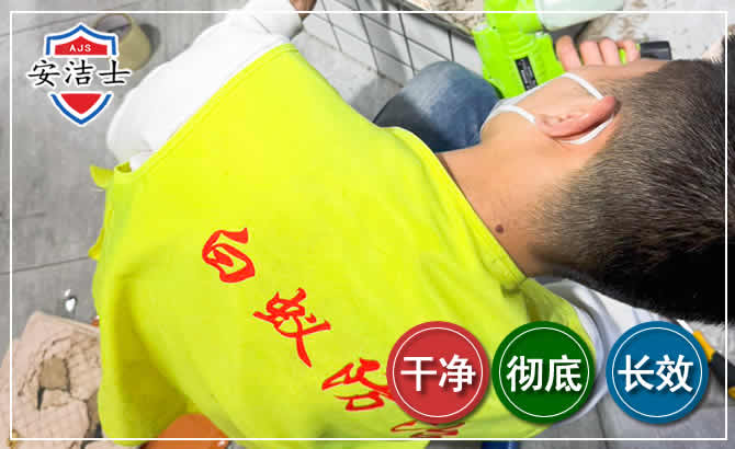 龙港白蚁根治现场